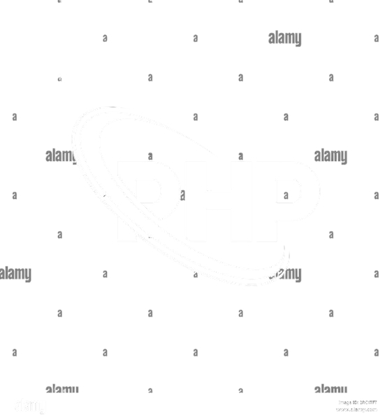 342dfed0-15a0-4f93-ab1a-f425b43c19c3_removalai_preview (1)